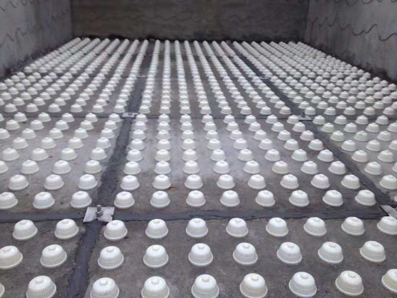 自來水濾板 濾帽安裝 濾料裝填 技術(shù)服務現(xiàn)場 自來水濾板 濾帽安裝 濾料裝填 技術(shù)服務現(xiàn)場